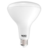BR40 LED Bulb