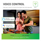 BR30 LED Smart Bulb, WiFi