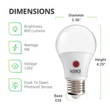 A19 LED Bulb, Dusk to Dawn
