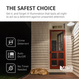 A19 LED Bulb, Dusk to Dawn