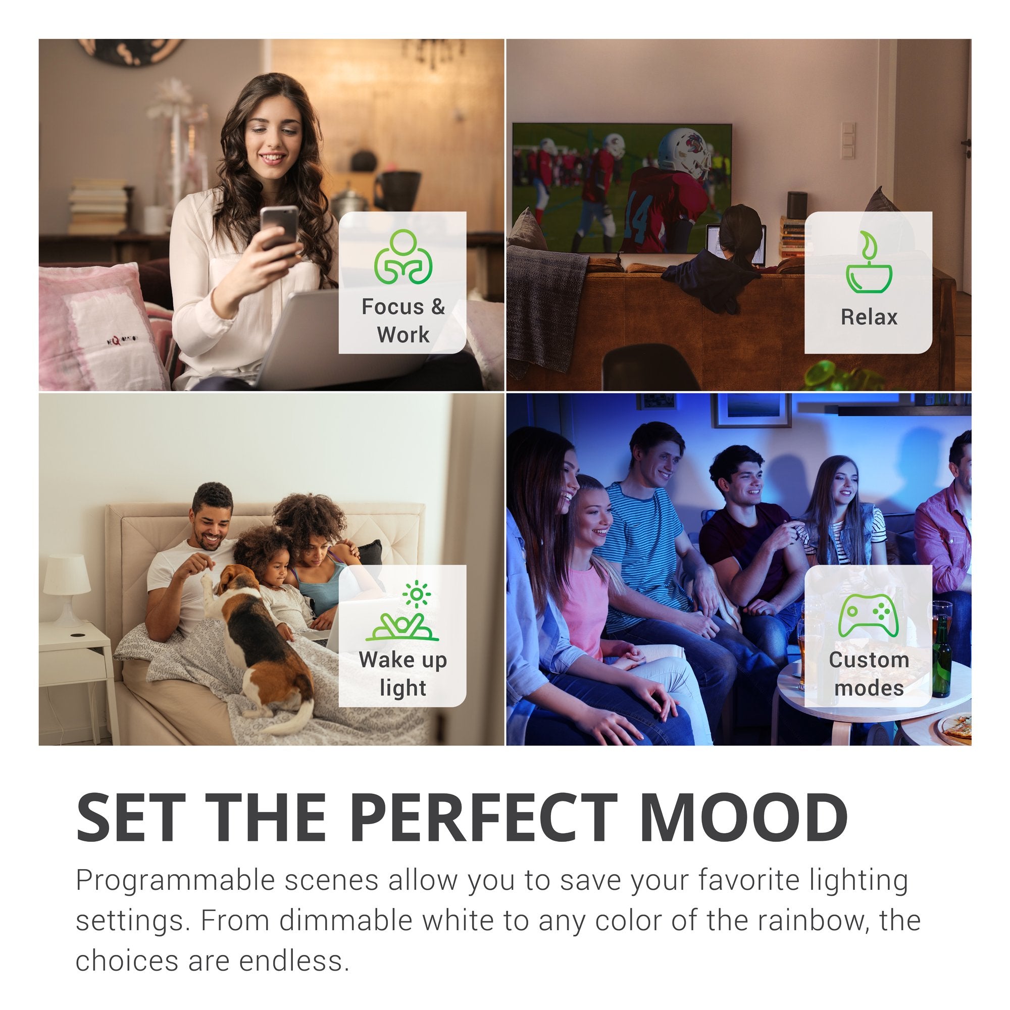 PAR30 LED Smart Bulb, WiFi