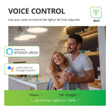 Sunco Lighting convenient A19 LED Smart Bulb Dimming color temperature hue rainbow voice control No Hub required app schedules scenes music sync Alexa Google Assistant ENERGY EFFICIENT SUSTAINABLE ECO-FRIENDLY Bulk Buyer