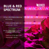 LED Grow Light, Red/Blue Spectrum