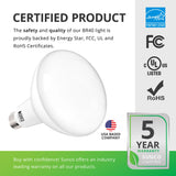 BR40 LED Bulb