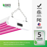 LED Grow Light, Red/Blue Spectrum